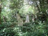 Abney Park Cemetery, Stoke Newington